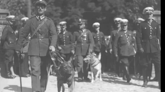 Niewidomi inwalidzi wojenni przybyli na uroczystości. Widoczni: chorąży Mikołaj Wałoszewski i starszy ułan Stanisław Grabarek z psami przewodnikami, 1933 r. Fot. Narodowe Archiwum Cyfrowe