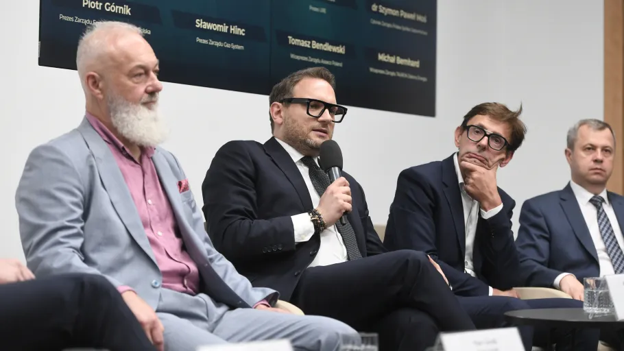 Debata ekspertów. Fot. PAP/Stach Leszczyński